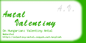 antal valentiny business card